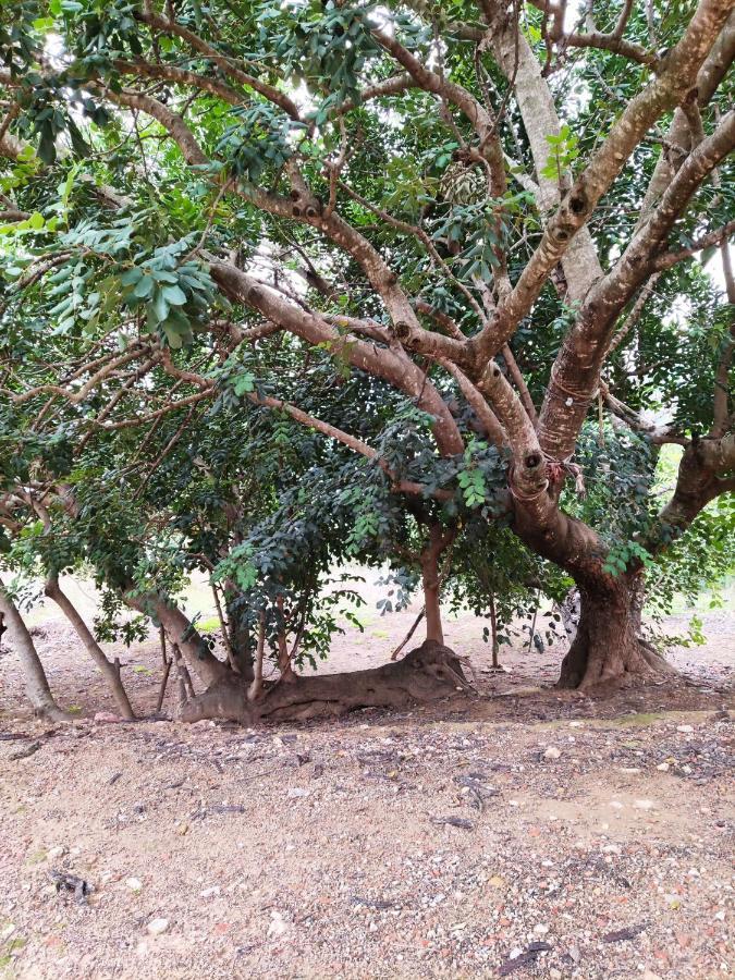La Rueda Apartamentos Rurales Chulilla Εξωτερικό φωτογραφία